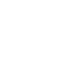 foresight-logo-home